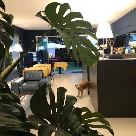 Otel Regina 3*